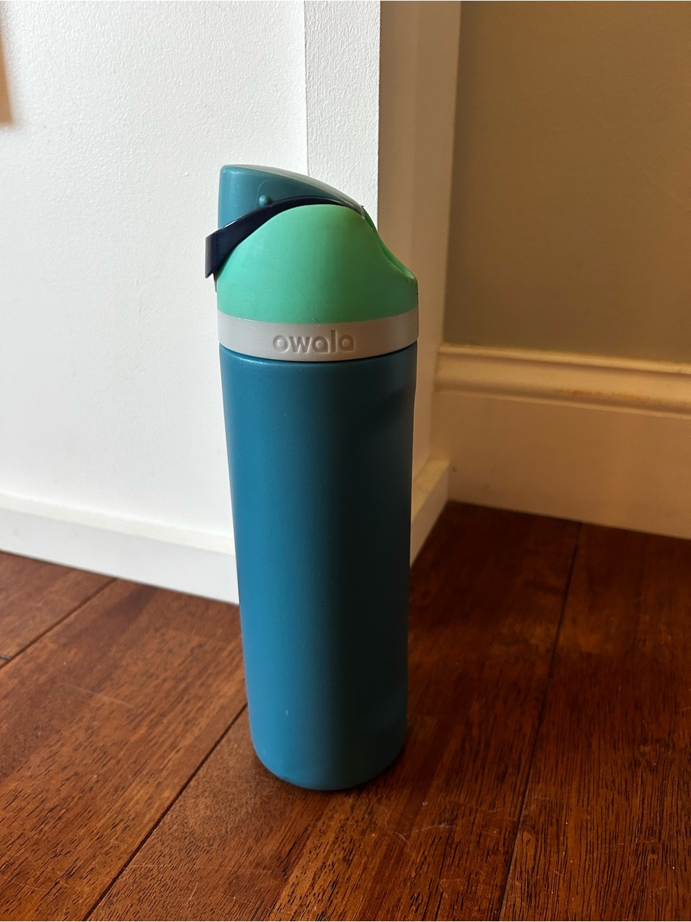Owala Teal & Mint Insulated Travel Bottle - Leak-Resistant Hydration 24oz